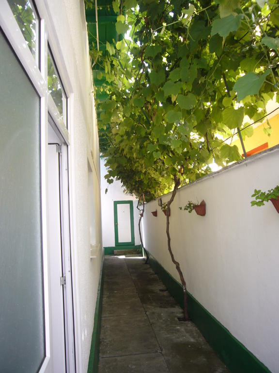 Apartamente Pinciuc Costinesti Zewnętrze zdjęcie